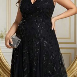 Black Dress Sizes 2x   $50 Obo