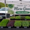 FRESH CUT MICROGREENS 