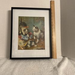 Cats Playing Picture