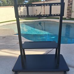 TV Stand on Wheels.