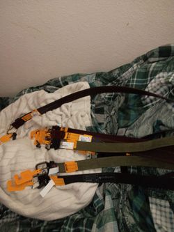 Carrheart belts