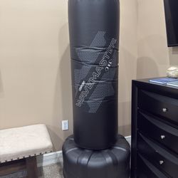 Punching/Kick Boxing bag