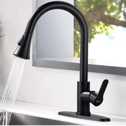 Kitchen Faucet 