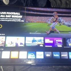 Vizio 32inch Full HD 1080p Smart Tv