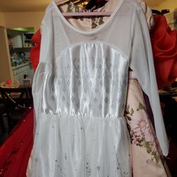 $5 Elsa Frozen Dress Size 6yrs