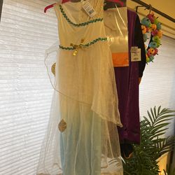 Kids Greek Goddess Dress With Headband Small