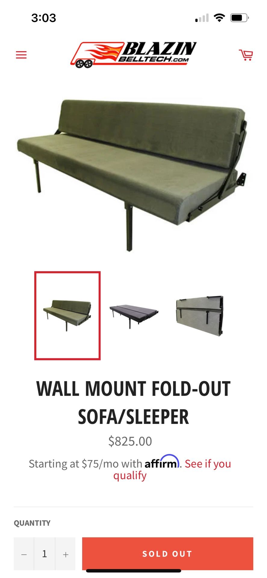 Wall Mount Fold Down Sofa / Sleepers
