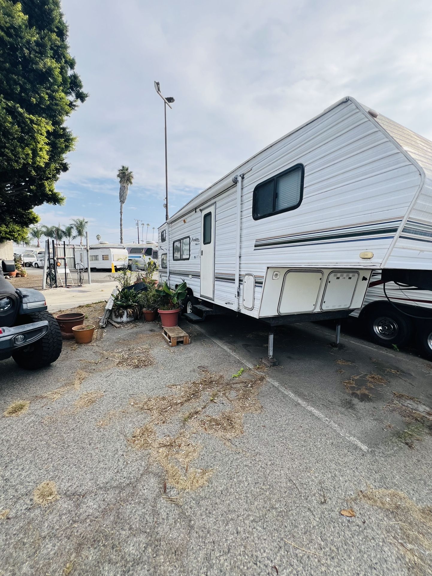 2001 By Thor 256DB GL FW Wanderer Widelite 256DB GL FW Wanderer Widelite