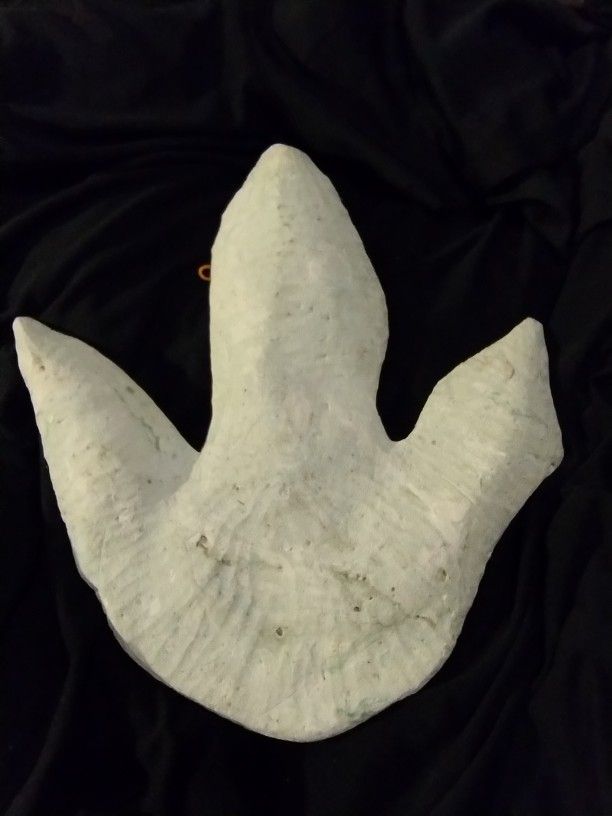 This Is A Casting Of A Real Dilophosaurus Footprint