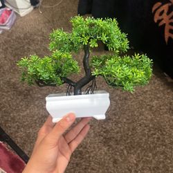 Fake Plant