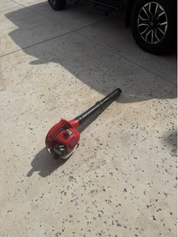 Homelite leaf blower