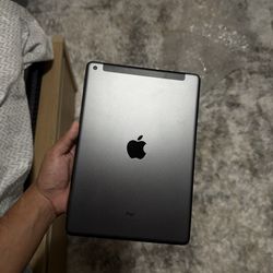 iPad 9th gen WiFi and cellular