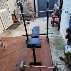 Bench And Weights And Bars