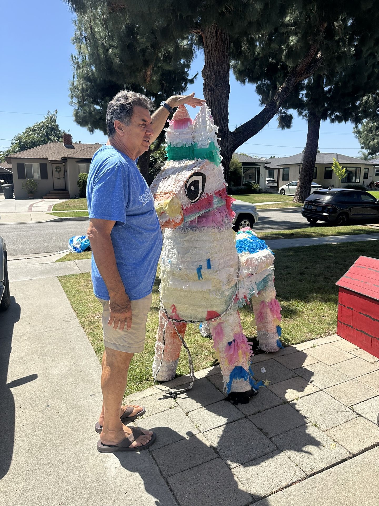 Donkey Pinata/Piñata de burro 6ft Tall