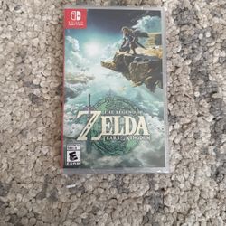 Legend of Zelda TOTK