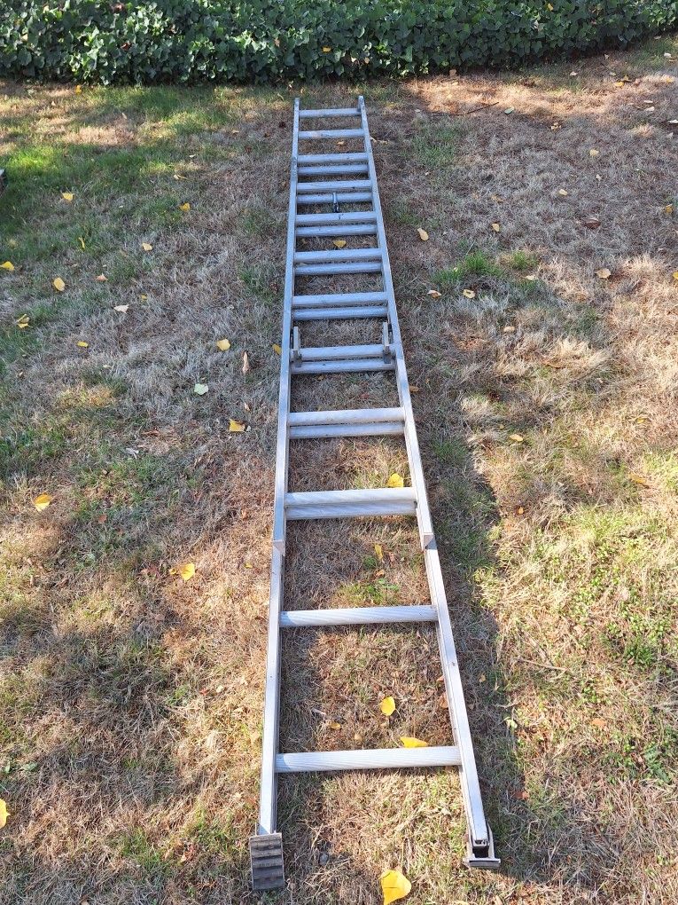 20 Ft Louisville Ladder