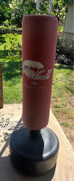 punching bag/kickboxing