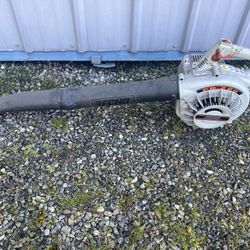 Echo Leaf Blower
