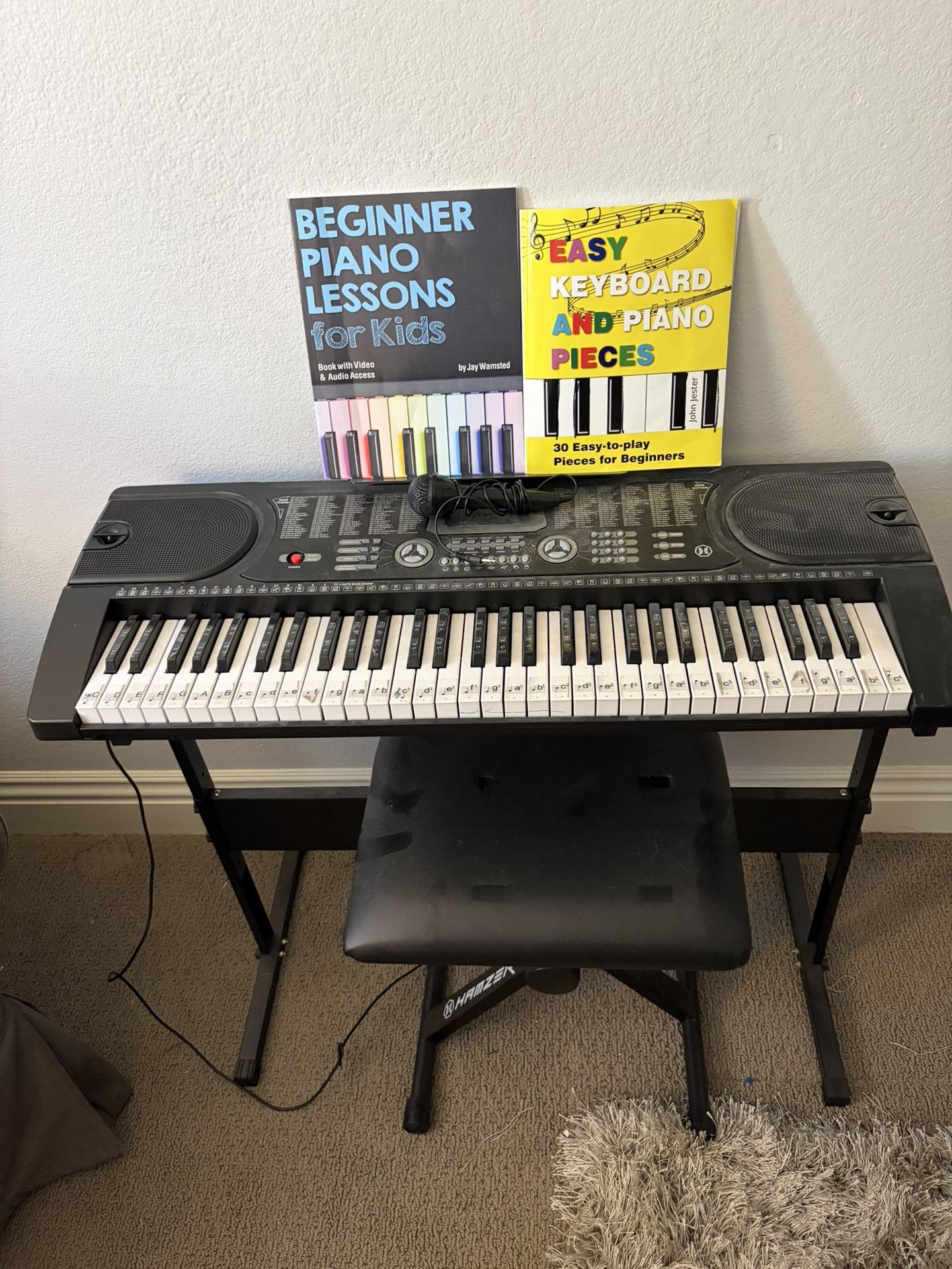 Hamzer Electric Keyboard