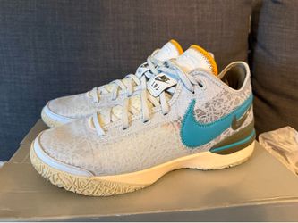 LeBron James Nike NXXT Gen Size 11.5