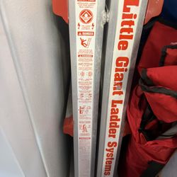 Little Giant Ladder System Ladder