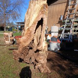 house for any type of animals 