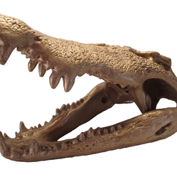 LARGE Vtg Gold Crocodile Bust Head Art Sculpture Skull Modern Modernism Display