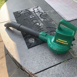 Electric Leaf Blower Tested