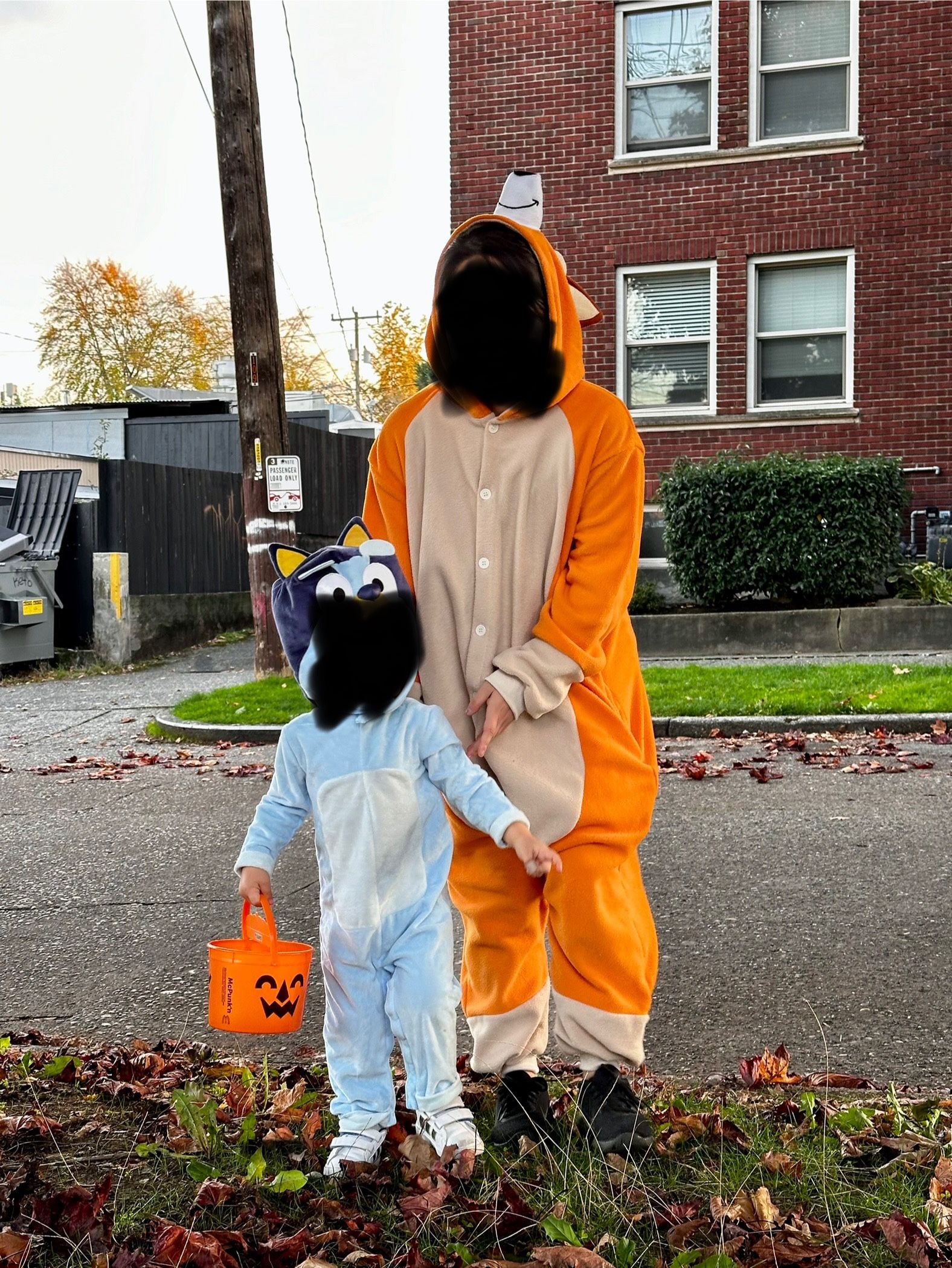 Bluey Parent Costumes - Bandit And Chilly