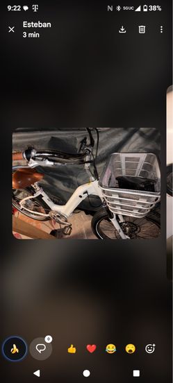 Electric bike CO