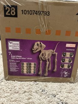 7 FOOT Skelly's Dog Skeleton Home Accent Halloween 2024 Home Depot IN HAND