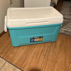 Igloo Cooler