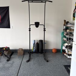 Pull Up Bar/Dip Bar