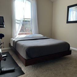 Basi Queen Bed Frame - Walnut