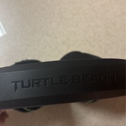 Turtle Beach