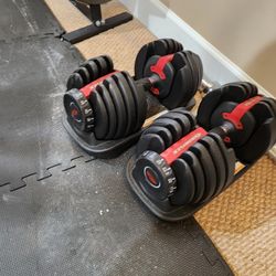 Bowflex Dumbbells