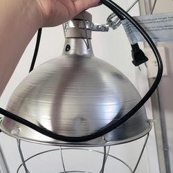 Heat lamp for chicks