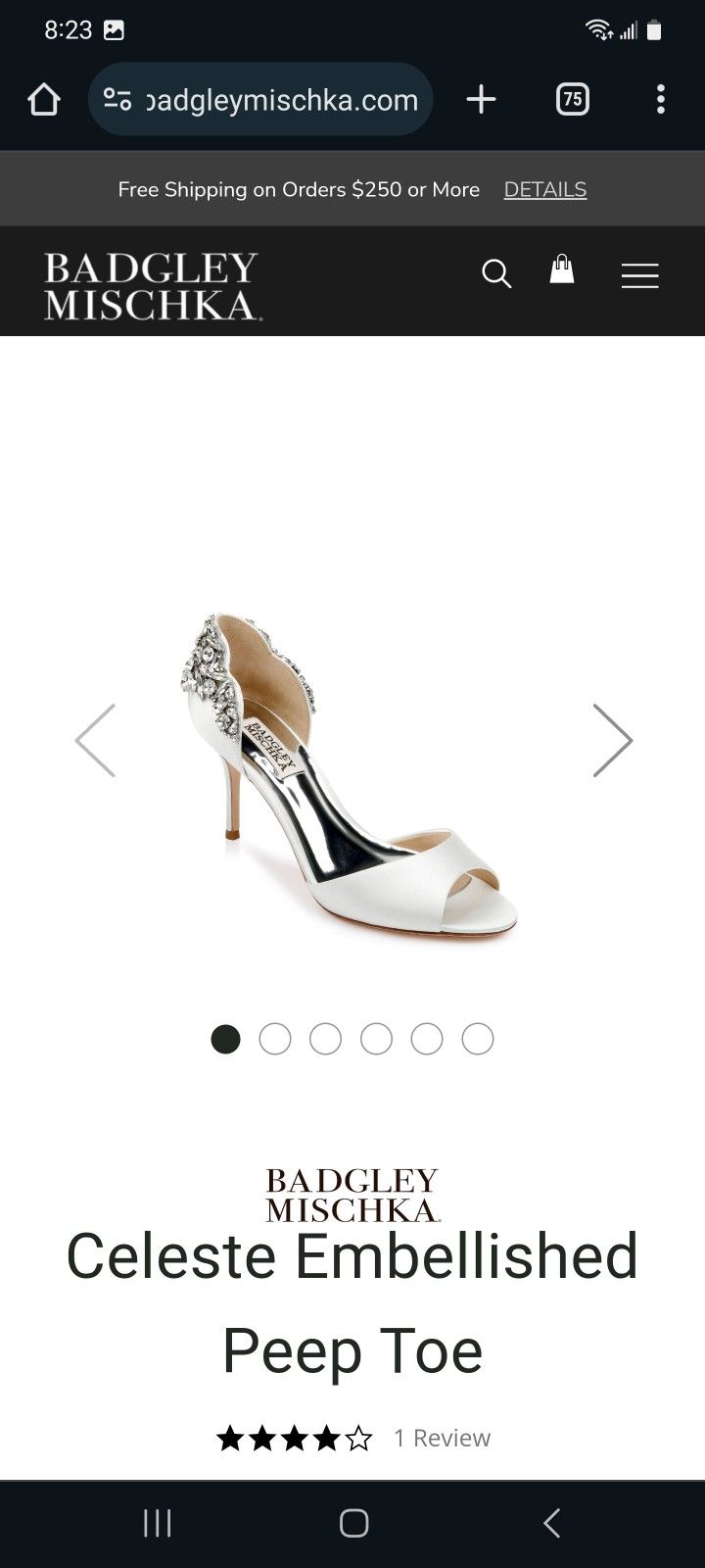 Brand New In Box Badgley Mishka Wedding Shoes