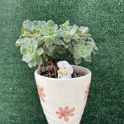 Succulent Easter Bunny Display