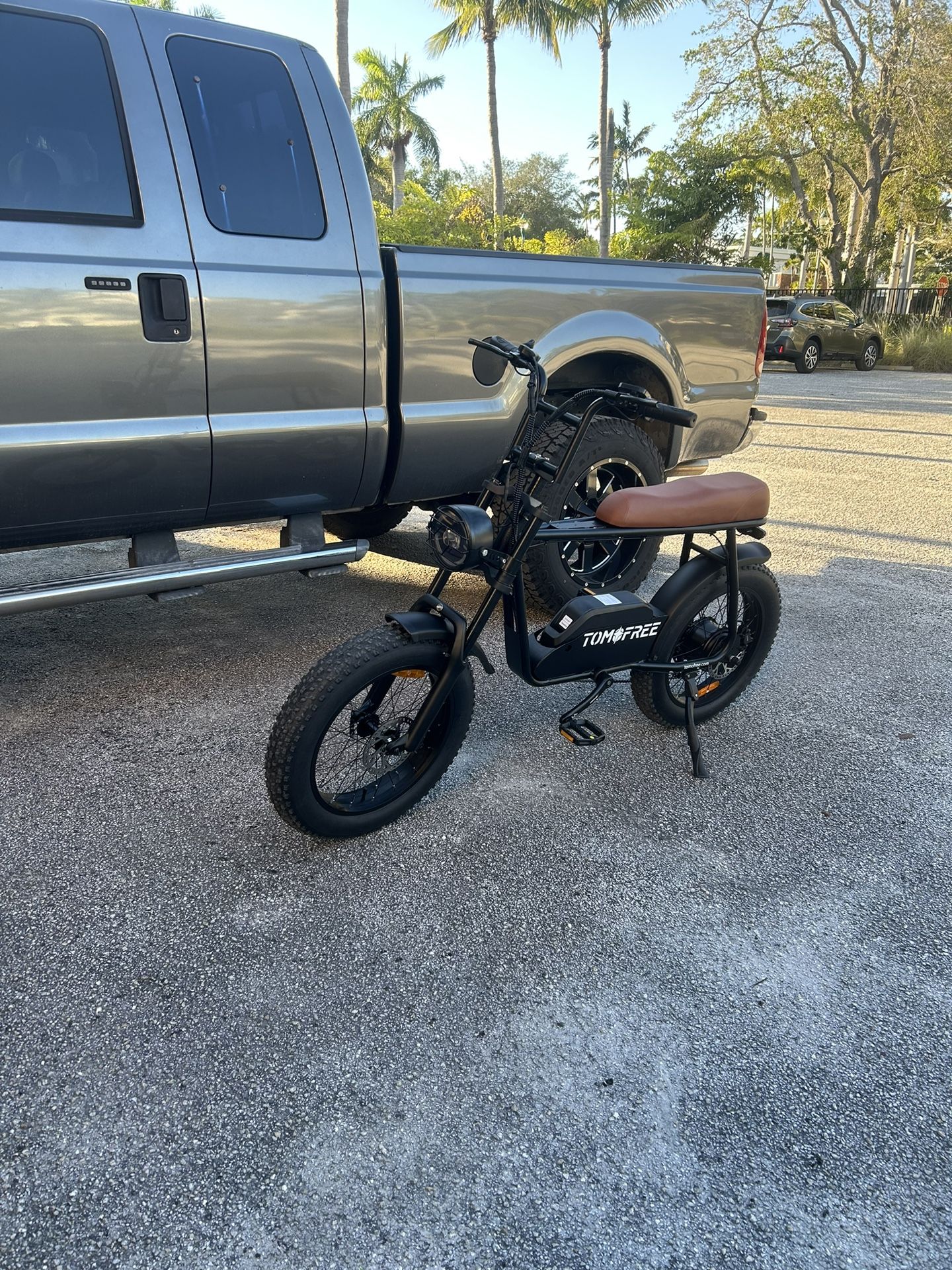 Electric Bike 2 Passenger 34mph