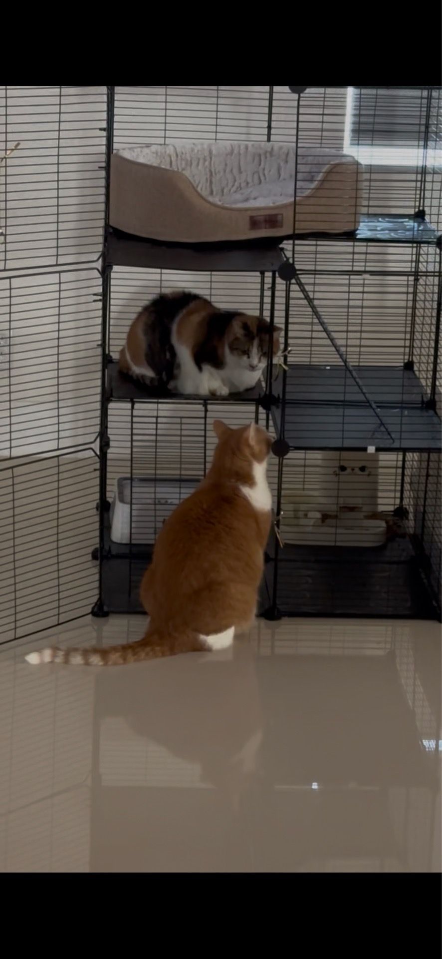 HomGarden 3-Tier DIY Cat Cage Metal Wire Cat Playpen Enclosures Indoor & Skylight for 1-2 Cats Ferret Rabbit
