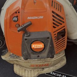 Br800x Leafblower Works Very Good No Issues