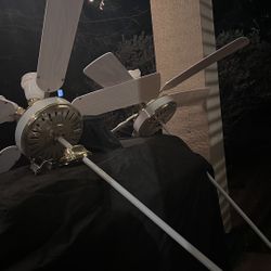 3 Fans In Perfect Condition!