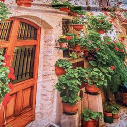 Cloth Tapestry European Street 