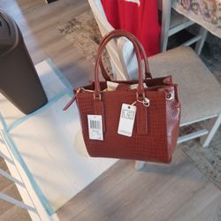 Brand New Urban Expressions Clutch Purse