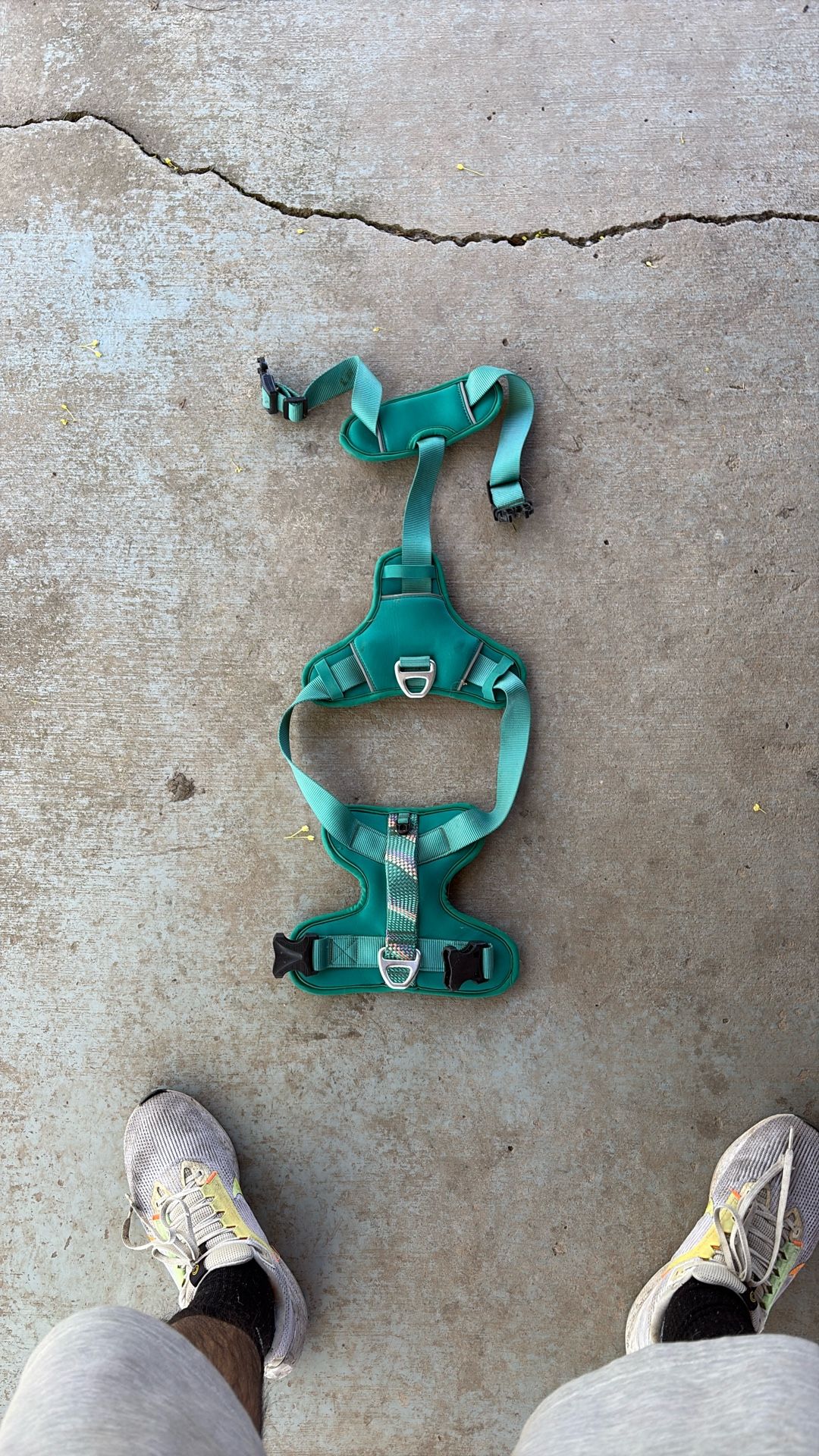 Large dog harness