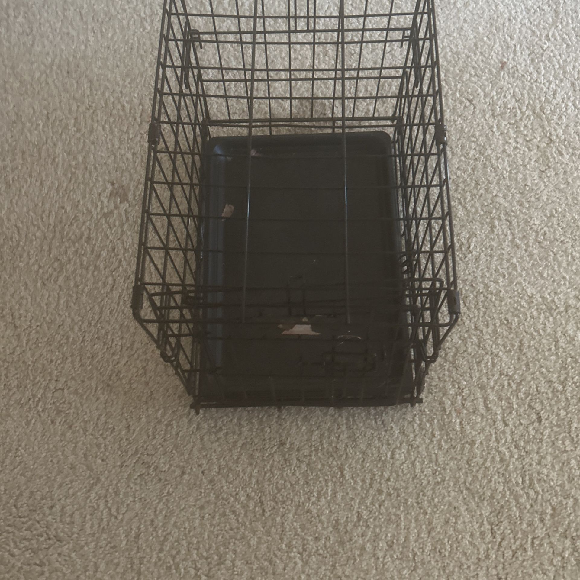 Dog Crate