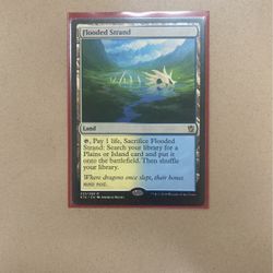 Flooded Strand