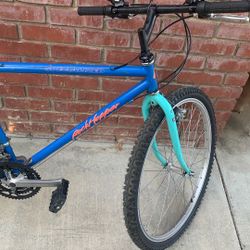 Specialized Mountain Bike - Ready To Ride
