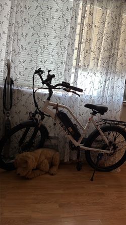 Electric mountain bike
